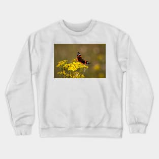 Red Admiral Crewneck Sweatshirt